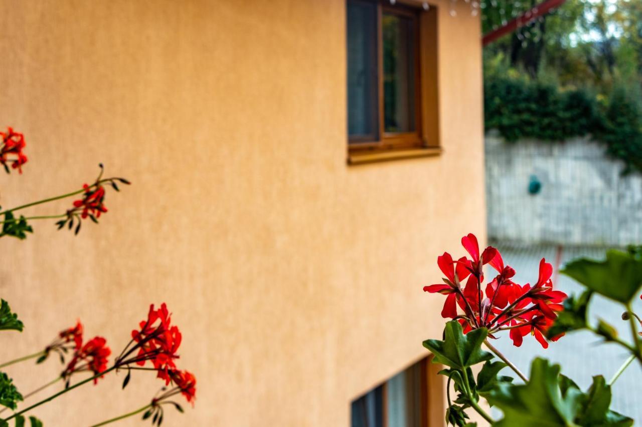 Casa Tofi Vendeghaz Aparthotel Praid Buitenkant foto